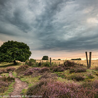 Buy canvas prints of Dramatic Skies Over Roydon Common At Sunset by David Powley