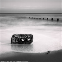 Buy canvas prints of Washed Up On Cromer Beach by David Powley