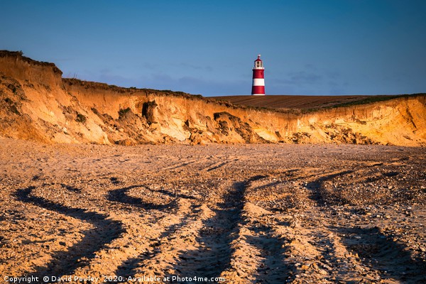 Morning Light on Happisburgh Beach Norfolk Picture Board by David Powley