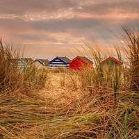 Buy canvas prints of Southwold Beach huts at dawn Suffolk by David Powley
