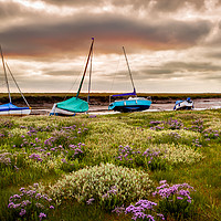 Buy canvas prints of Sea Lavender and boats at Blakeney by David Powley