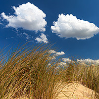 Buy canvas prints of Clouds above the sand dunes by David Powley