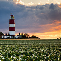 Buy canvas prints of Summer sunset at Happisburgh Lighthouse by David Powley