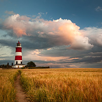 Buy canvas prints of Evening light over Happisburgh Lighthouse Norfolk by David Powley