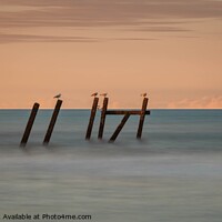 Buy canvas prints of At the end of the day on Happisburgh Beach by David Powley