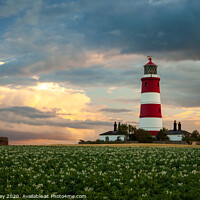Buy canvas prints of Evening light over Happisburgh Lighthouse by David Powley