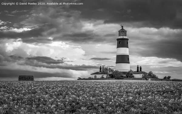 Evening light at Happisburgh Lighthouse Monochrome Framed Mounted Print by David Powley