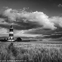 Buy canvas prints of Evening light at Happisburgh Lighthouse Monochrome by David Powley