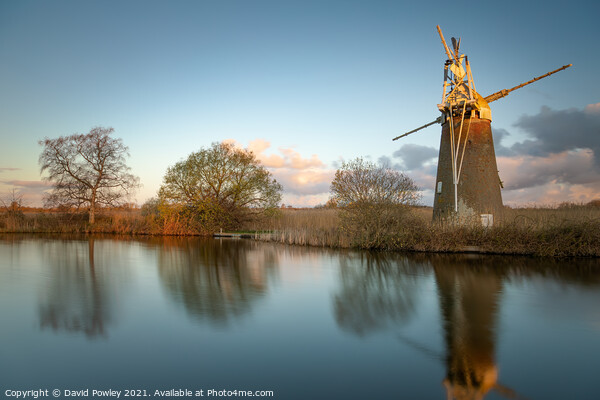 Early Morning Light on Turf Fen Mill Norfolk Picture Board by David Powley
