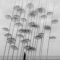 Buy canvas prints of So Many Umbrellas by Caroline Claye