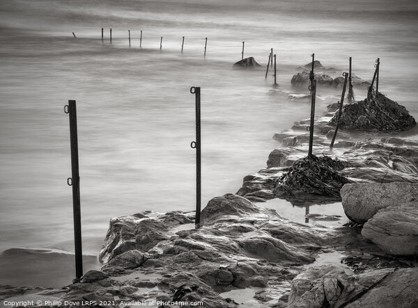 Sugar Sands, Northumberland Monochrome Picture Board by Phillip Dove LRPS