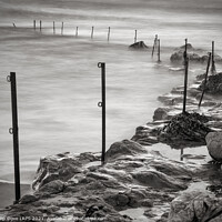 Buy canvas prints of Sugar Sands, Northumberland Monochrome by Phillip Dove LRPS