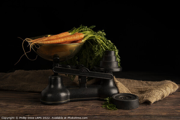 Weighing the carrots Picture Board by Phillip Dove LRPS