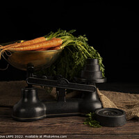 Buy canvas prints of Weighing the carrots by Phillip Dove LRPS