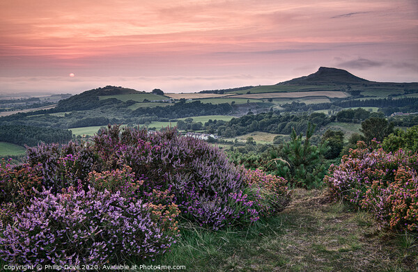 Late Summer light at Roseberry Topping  Picture Board by Phillip Dove LRPS