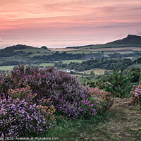 Buy canvas prints of Late Summer light at Roseberry Topping  by Phillip Dove LRPS