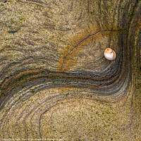 Buy canvas prints of Rock and Shell on Spittal Beach by Phillip Dove LRPS
