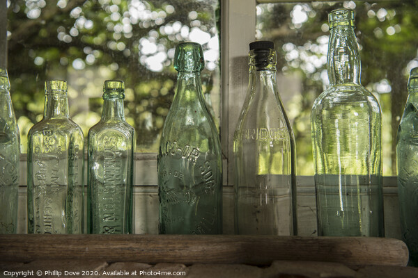 seven green bottles standing in a row Picture Board by Phillip Dove LRPS