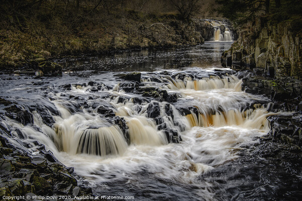 Low Force Waterfall, Teesdale Picture Board by Phillip Dove LRPS