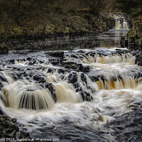 Buy canvas prints of Low Force Waterfall, Teesdale by Phillip Dove LRPS