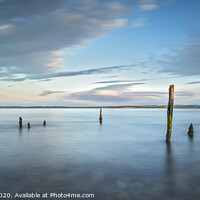 Buy canvas prints of Lindisfarne Jetty Timbers by Phillip Dove LRPS