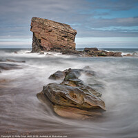 Buy canvas prints of Charley's Garden, Whitley Bay by Phillip Dove LRPS