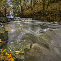 Buy canvas prints of Bowlees in Autumn by Phillip Dove LRPS