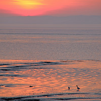 Buy canvas prints of Bristol Channel at sunset by Mike Toogood