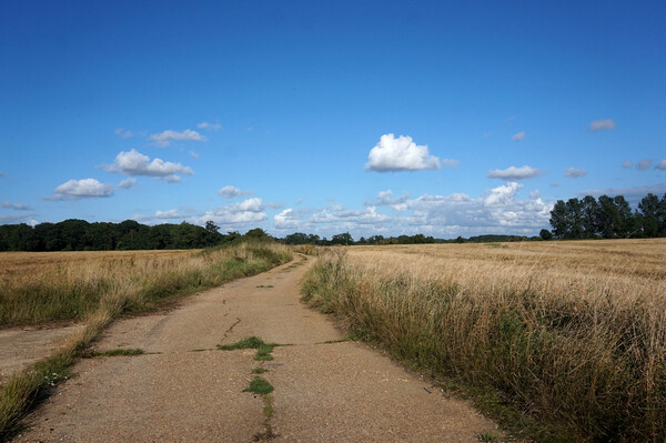 Outdoor road through the fields Picture Board by Theo Spanellis