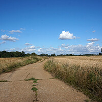 Buy canvas prints of Outdoor road through the fields by Theo Spanellis