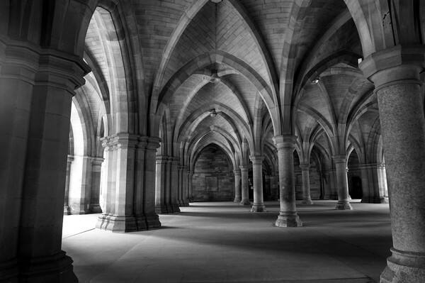 The Cloisters - University of Glasgow Picture Board by Theo Spanellis
