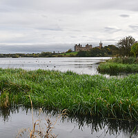 Buy canvas prints of Linlithgow Loch and Palace in the background by Theo Spanellis