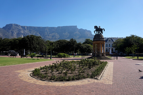 Park in Cape Town Picture Board by Theo Spanellis