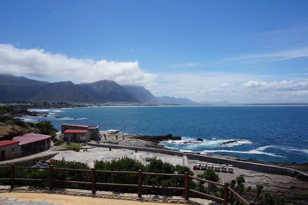 Hermanus view of the sea Picture Board by Theo Spanellis