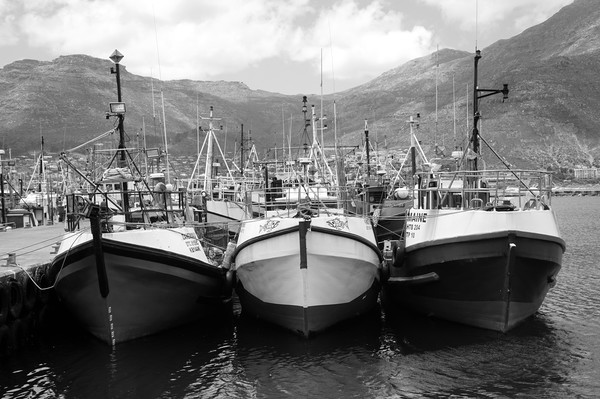 Fishing boats in the port, black&white Picture Board by Theo Spanellis