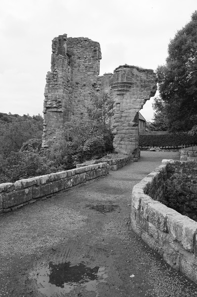 The entrance to Rosslyn castle, black&white Picture Board by Theo Spanellis