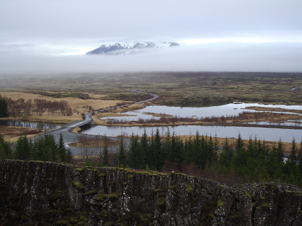 Þingvellir valley of tectonic plates, Iceland Picture Board by Theo Spanellis