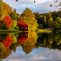 Buy canvas prints of The season of colour by Steve Lewis