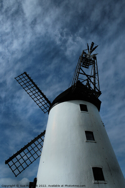 Lytham windmill Picture Board by Sue HASKER