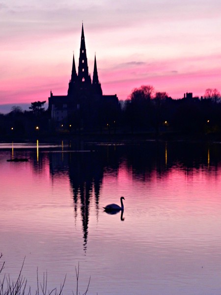 LICHFIELD CATHEDRAL              Picture Board by Sue HASKER