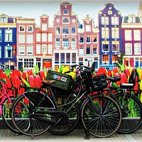 Buy canvas prints of                  AMSTERDAM               by Sue HASKER