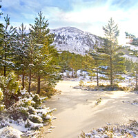 Buy canvas prints of Scottish Highlands Snowy Mountain by DHWebb Art