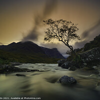 Buy canvas prints of the lone tree Glencoe, highlands, Scotland. by Scotland's Scenery