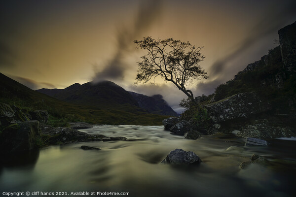 The lone Tree, Glencoe. Picture Board by Scotland's Scenery