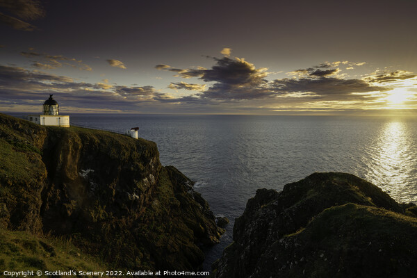 St Abbs head lighthouse at golden hour Picture Board by Scotland's Scenery
