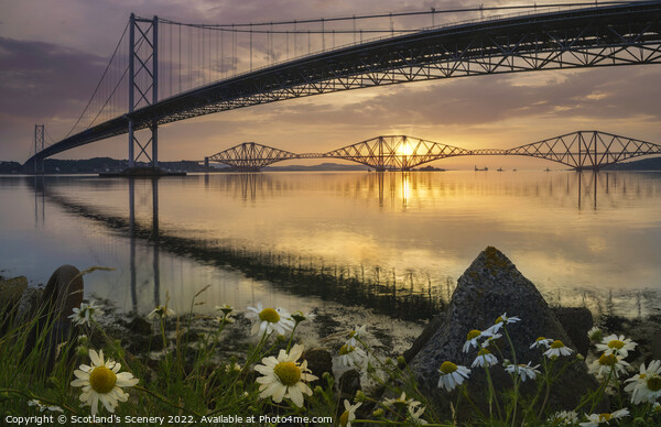 forth Bridges, Scotland. Picture Board by Scotland's Scenery