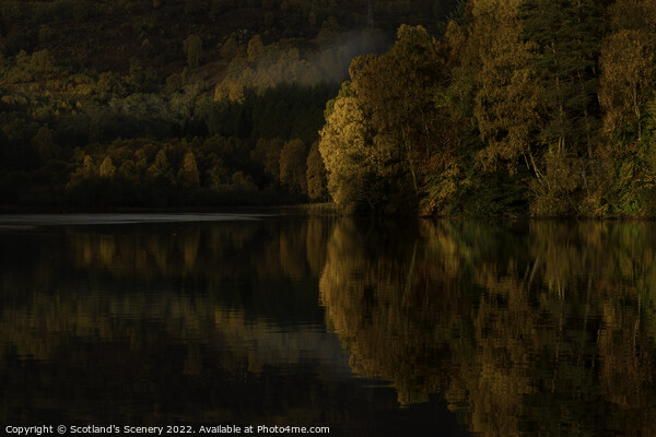Loch Faskally, Perthshire, Scotland. Picture Board by Scotland's Scenery