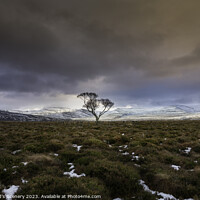Buy canvas prints of Cairngorms, highlands, Scotland vista by Scotland's Scenery