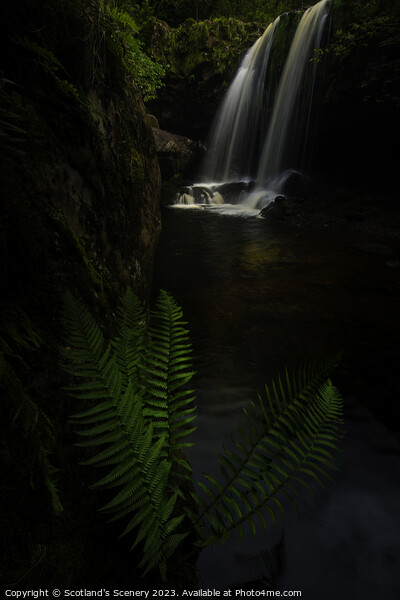 Campsie glen waterfalls. Picture Board by Scotland's Scenery