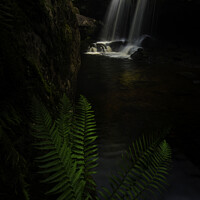 Buy canvas prints of Campsie glen waterfalls. by Scotland's Scenery
